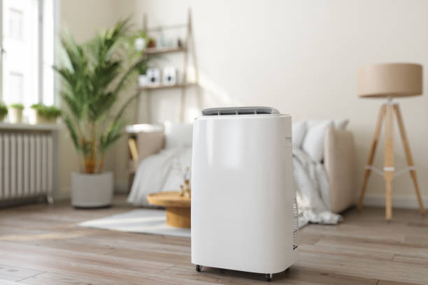 Best HVAC air duct cleaning  in Crescent City, FL